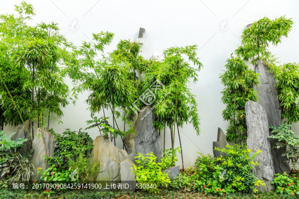 園林植物墻
