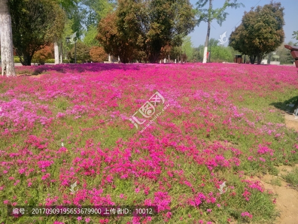 公園