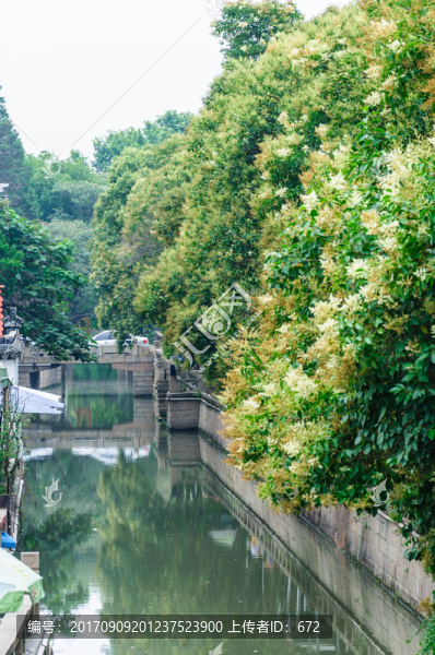 山塘街和山塘河