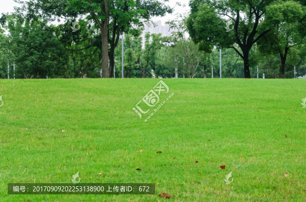 綠草坪