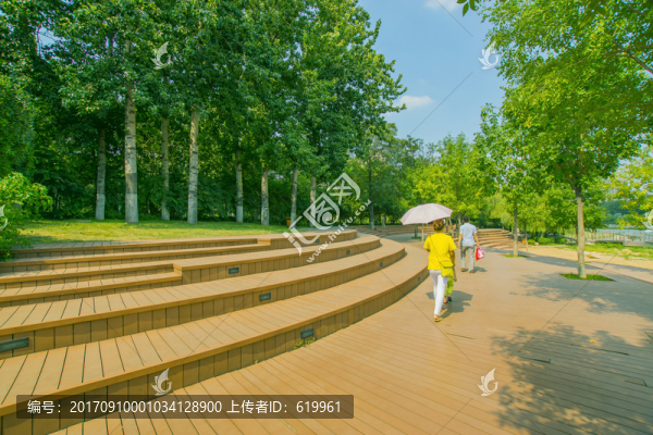 公園綠樹
