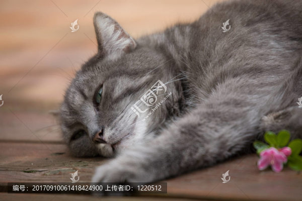 困乏的