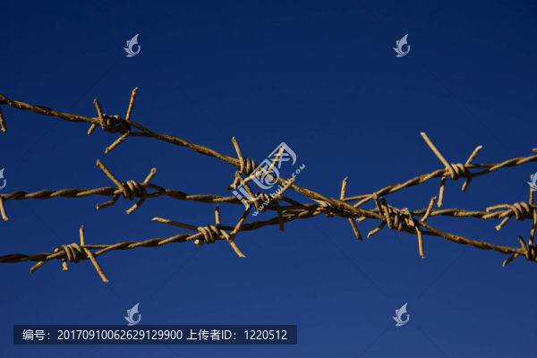 自由的終結(jié)