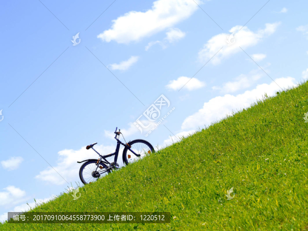 在綠色中騎車(chē)