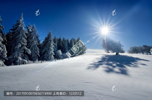 冬天的太陽1