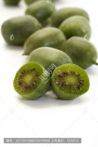 迷你kiwi4