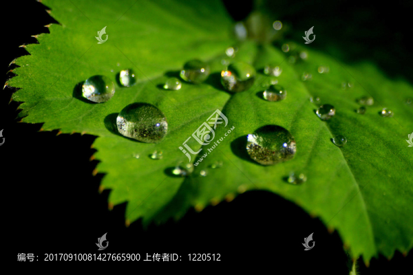 滴