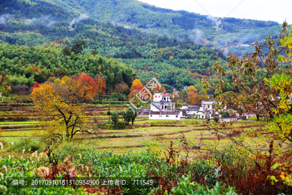 塔川秋色風(fēng)光,高清大圖