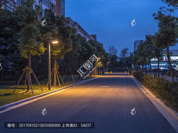 夜晚有路燈的道路