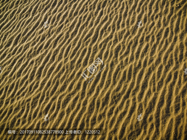 沙漠