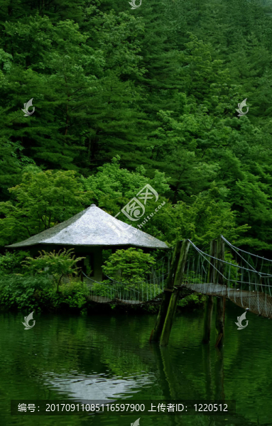 懸索橋