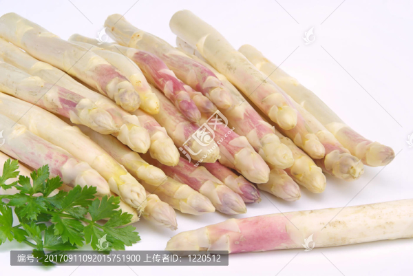 蘆筍15