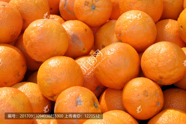 橙