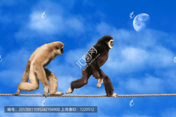 毛骨悚然-,2—