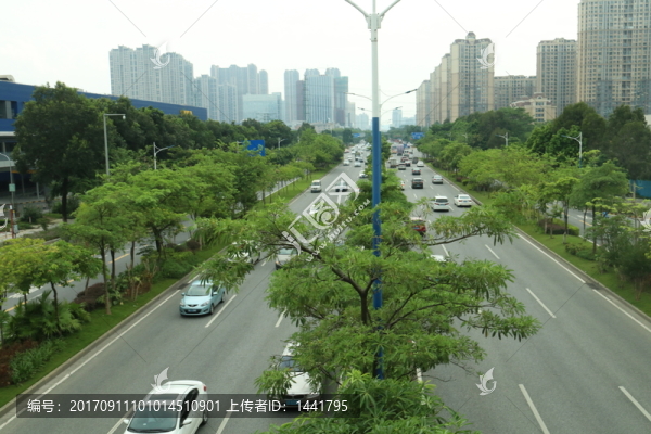 城市交通馬路