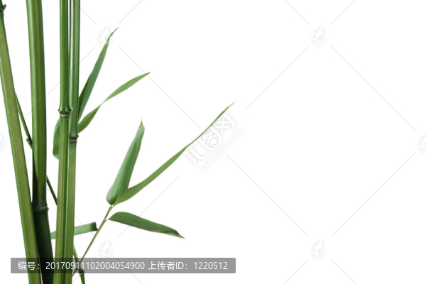 葉