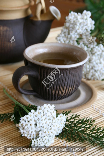 杯