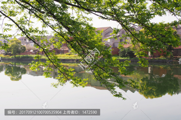 水鄉(xiāng)春晴