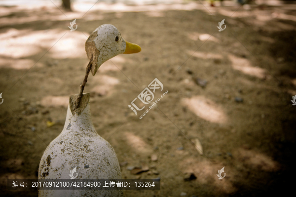 泰國(guó),曼谷,清邁,東南亞,旅游