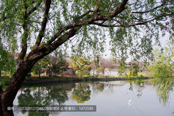 水鄉(xiāng)春晴