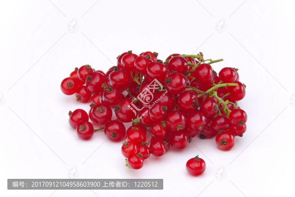 葡萄干10