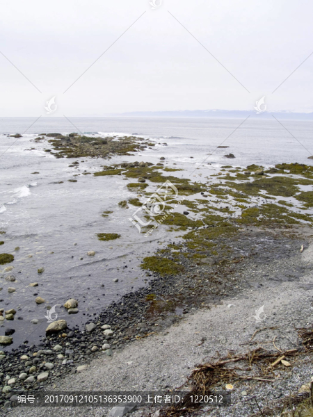 海灘