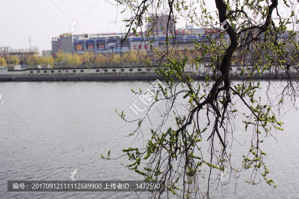 水鄉(xiāng)春晴