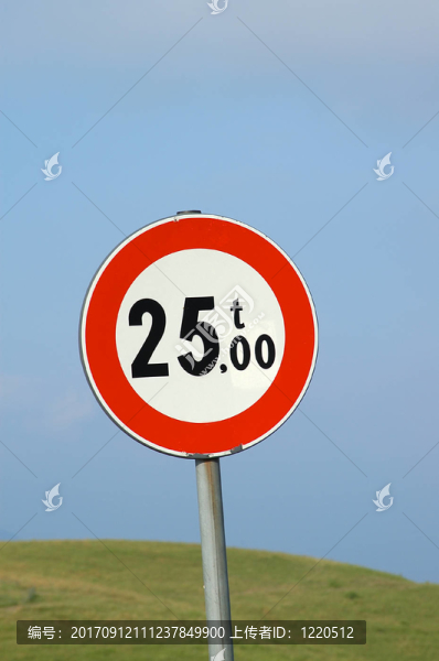 25噸