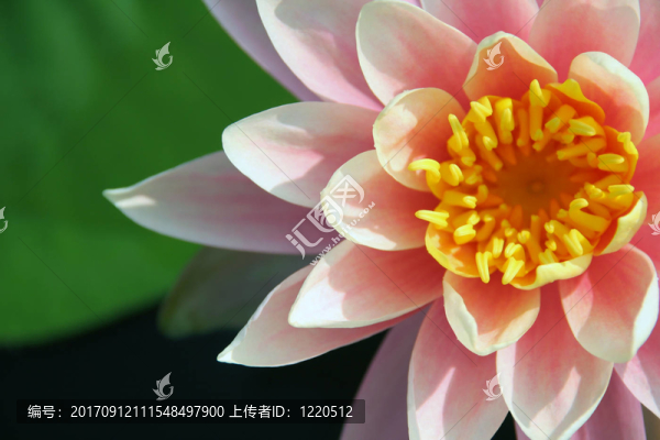 宏觀