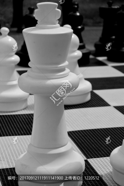 象棋馬特…