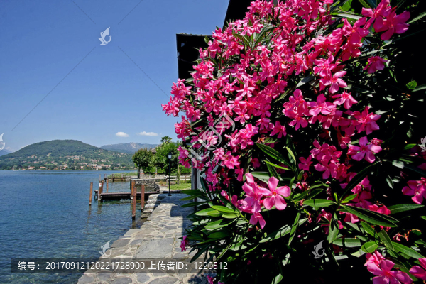 Lago,di奧爾塔