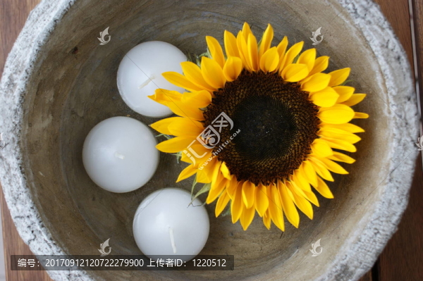 花卉
