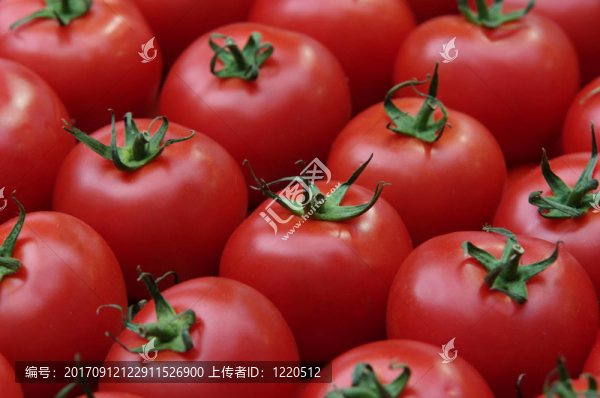 番茄番茄