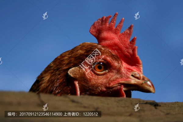 概述