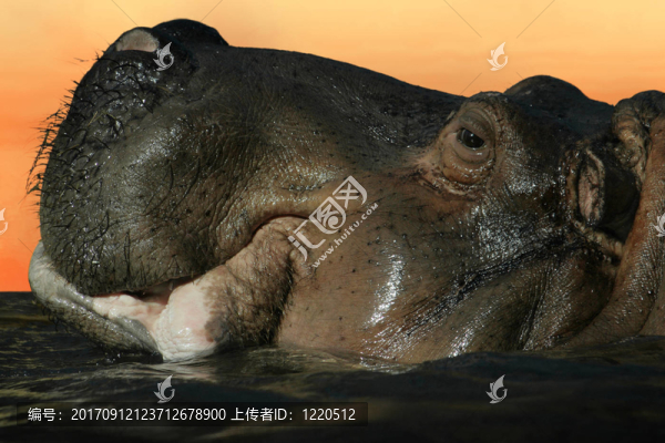 簡介