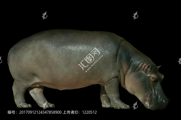 簡介
