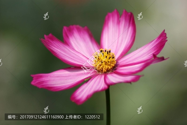 該宏