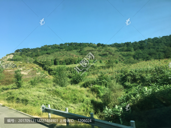 大山,綠樹