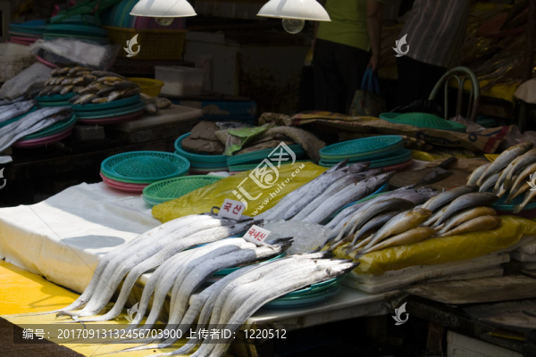魚站