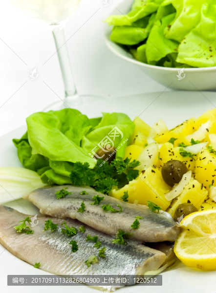 魚
