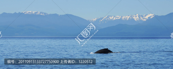 在公海