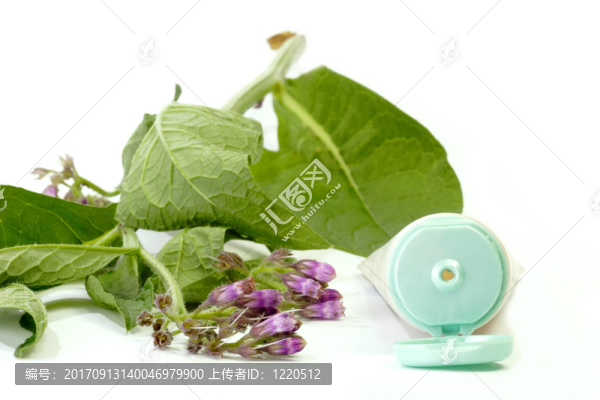 紫草膏