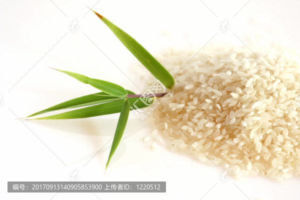 意大利米