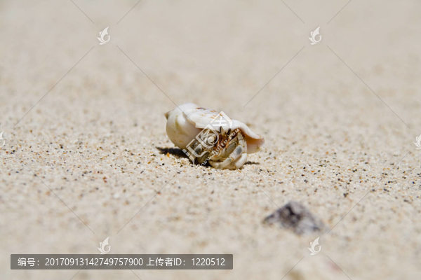 海灘