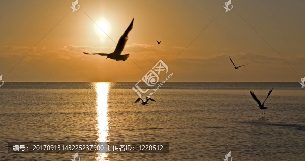 日出之旅