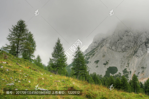 山中的霧
