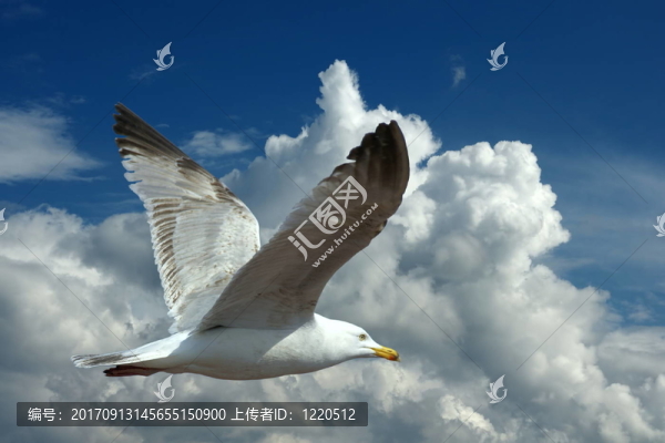 天空