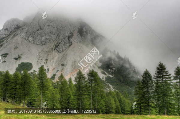 濃霧中的高椅子