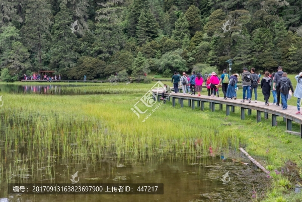 香格里拉碧塔海