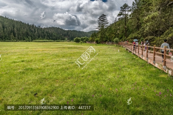 香格里拉碧塔海濕地